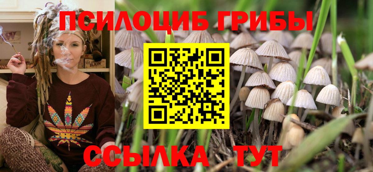 Галлюциногенные грибы Cubensis Качканар